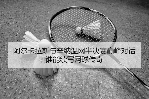 a-er-ka-la-si-yu-xin-na-wen-wang-ban-jue-sai-dian-feng-dui-hua-shui-neng-xu-xie-wang-qiu-chuan-qi-2-582.jpg
